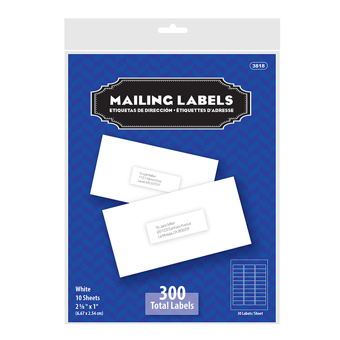 1" X 2 5/8" White Address Labels (300/Pack)