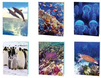 Marine Life 3D Portfolios, 6 Assorted Designs