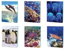 [YP16-41227-24] Marine Life 3D Portfolios, 6 Assorted Designs