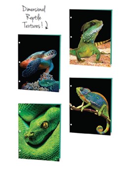 Reptiles Dimensional Portfolios, 4 Assorted Designs