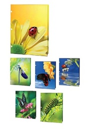 [PF-1034-48] Bugs Portfolios, 6 Assorted Designs