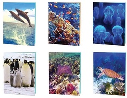 [YP16-41227-24] Marine Life 3D Portfolios, 6 Assorted Designs