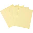 [81196] Papel Copiadora Canary 8 1/2 x 11, Ream