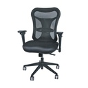 [ARIA] Executive Chair With Mesh Back. Adjust Lumbar Support. Tilt & Tension Control W/Lock. Multi-Adj Arms. (optional head rest)