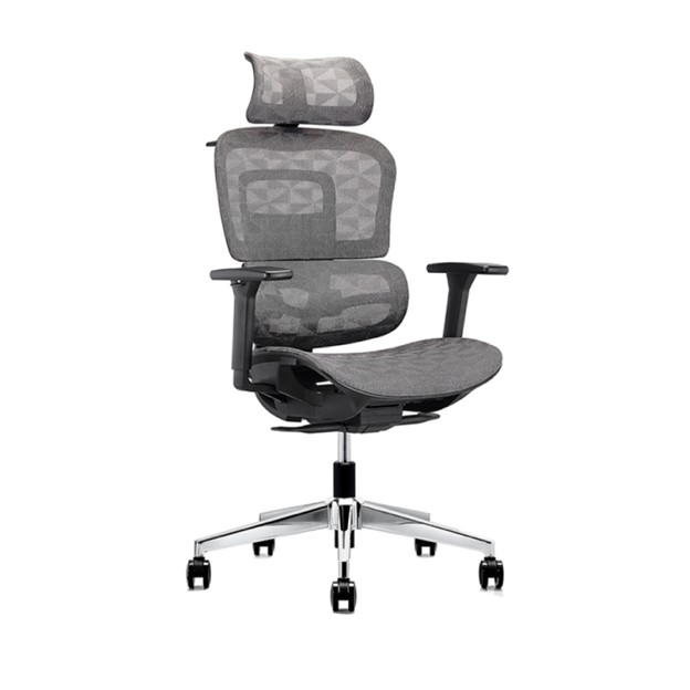 Grey mesh seat & back. Tilt & lock. Adjustable back high and arms. Lumbar support. (optional head rest)