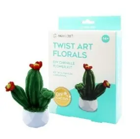 Twist Art Floral DIY Kit - Cactus. Include: Pipe Cleaners+Plastic pot+pearl cotton+coral fleece+Hot melt glue. 