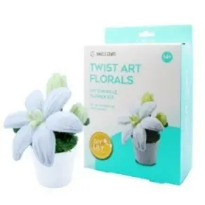 Twist Art Floral DIY Kit -Lily. Include: Pipe Cleaners+Plastic pot+pearl cotton+coral fleece+Hot melt glue.   