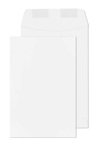 [PAL-6X9-WHT] Sobre Blanco, 6 x 9, 500/Bx (S6924WOS)