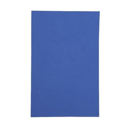[A803009] Foamy 20x30 10u Azul