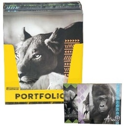 [PF-15868-48] Promarx African Live Portfolios